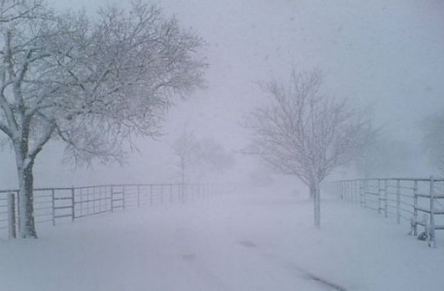 Ialomita: O femeie a nascut acasa, dupa ce ambulanta nu a putut ajunge la ea