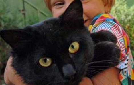 Pisica cu patru urechi!