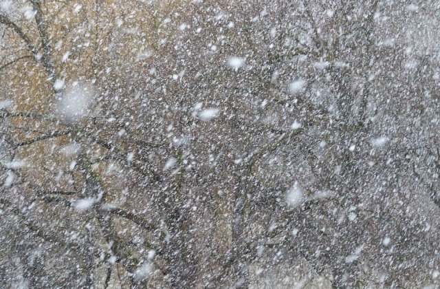 [Update] Atentionarile de vreme rea, actualizate. Cod GALBEN de ninsori in 11 judete. Cod PORTOCALIU de viscol, ridicat