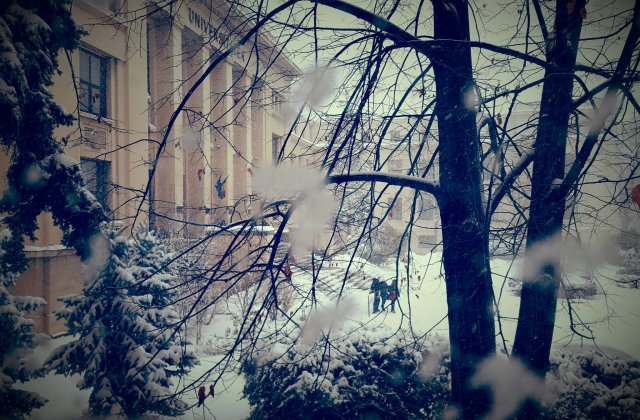 Universitatea din Bucuresti a suspendat cursurile in zilele de 11, 12 si 13 ianuarie