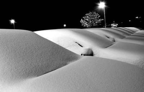 Bucurestenii pot suna la un numar gratuit daca intampina probleme din cauza iernii