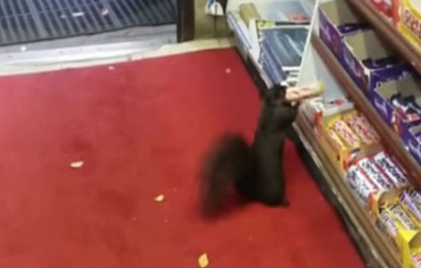 A reusit sa prinda hotul care ii fura din magazin. Ce surpriza a avut