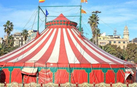 Petitie pentru interzicerea folosirii animalelor la circuri, semnata de aproape 13.000 de oameni in cateva ore