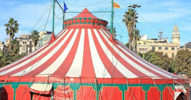 Petitie pentru interzicerea folosirii animalelor la circuri, semnata de aproape 13.000 de oameni in cateva ore