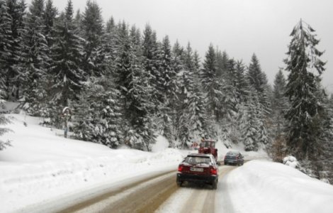 Cod galben de polei in 31 de judete si ninsori viscolite la munte