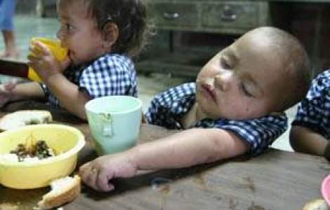 Copiii 'capsunarilor' ar putea ajunge in centre de plasament