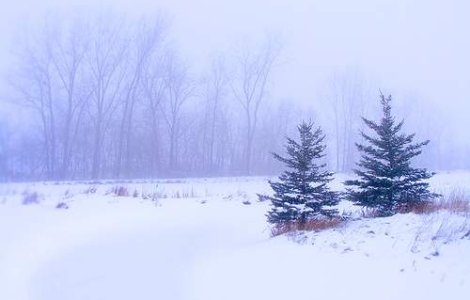 Ger si ninsori in luna noiembrie