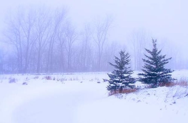 Ger si ninsori in luna noiembrie