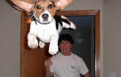  Top  10 Fotografii pe care le faci o data-n viata