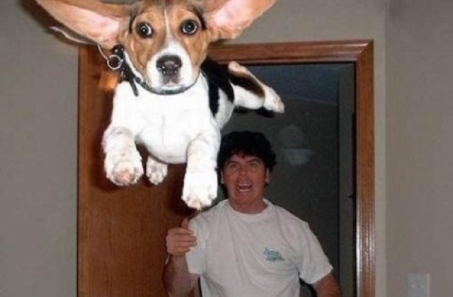 10 Fotografii pe care le faci o data-n viata