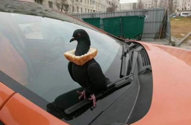 Rusia... Chiar e tara tuturor posibilitatilor!