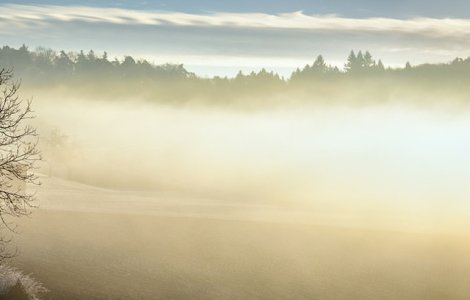  Update  Cod GALBEN de ceata in mai multe judete