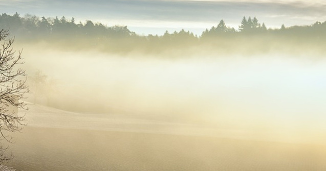  Update  Cod GALBEN de ceata in mai multe judete