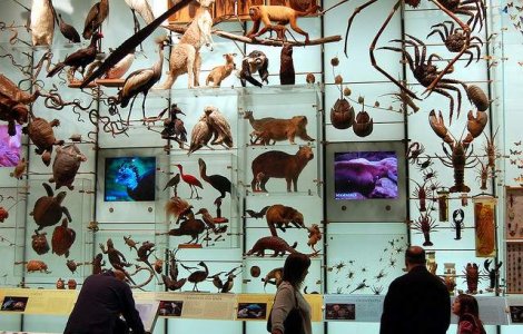 Romania trebuie sa finanteze biodiversitatea