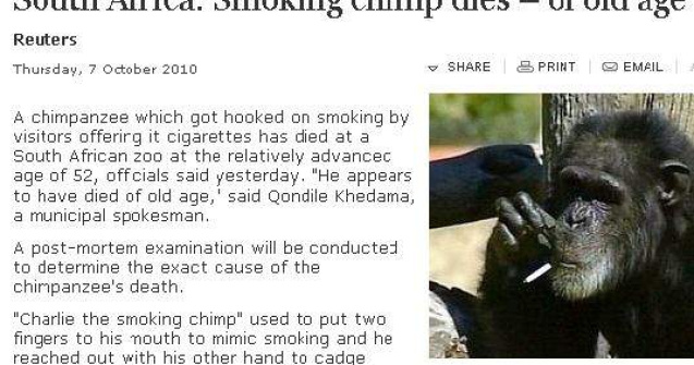 Video  A murit Charlie, cimpanzeul-fumator