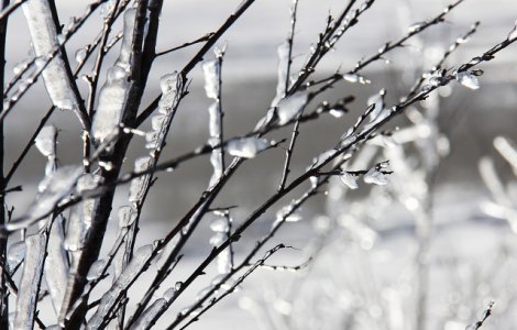 Cod GALBEN de ger in 20 de judete si Bucuresti, in vigoare pana sambata dimineata