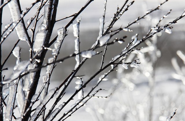 Cod GALBEN de ger in 20 de judete si Bucuresti, in vigoare pana sambata dimineata
