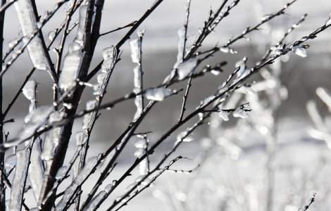 Cod GALBEN de ger in 20 de judete si Bucuresti, in vigoare pana sambata dimineata