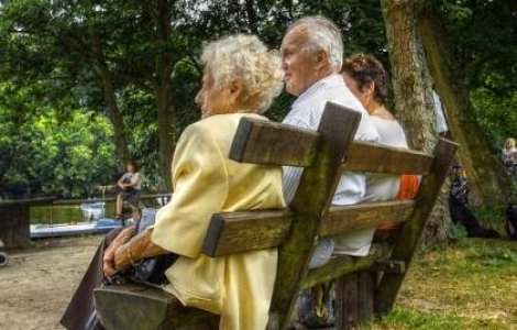 Reexaminarea Legii pensiilor poate dura pana in 2011