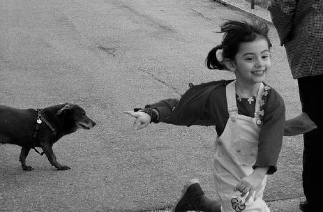 Ce se alege de "copiii ramasi singuri acasa"?