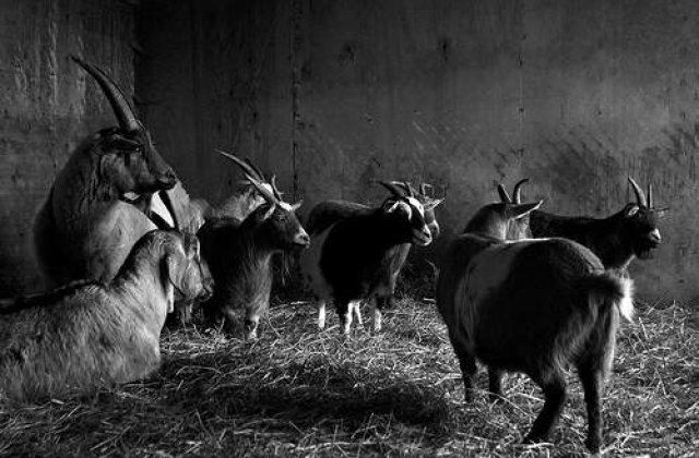 [VIDEO] Magie neagra in fotbalul african