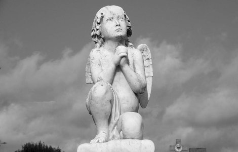 Craiova: "Mars al durerii" pentru tanarul ucis