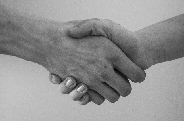 Un deputat liberal vorbeste despre o alianta PNL-USR