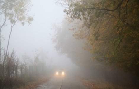 Cod GALBEN de ceata in mai multe judete