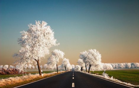  Top  Natura ramane cel mai bun artist al Pamantului