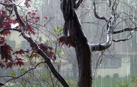 Meteo: Ne asteapta zile reci si ploioase