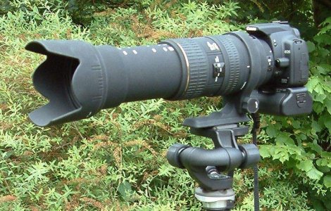 Industria filmelor porno, in alerta