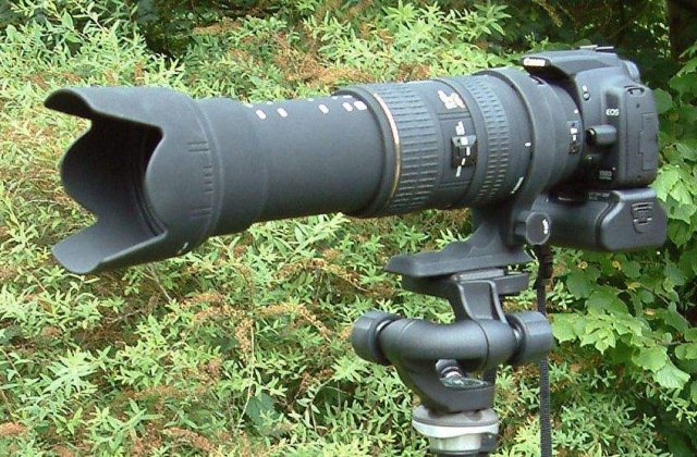 Industria filmelor porno, in alerta