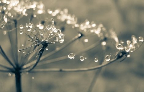  Update  Cod GALBEN de polei, burnita si ceata in mai multe judete