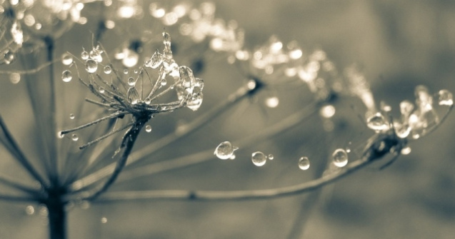  Update  Cod GALBEN de polei, burnita si ceata in mai multe judete