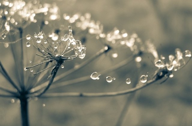 [Update] Cod GALBEN de polei, burnita si ceata in mai multe judete