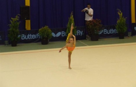 Gimnastica: Programul CM 2010 de la Rotterdam