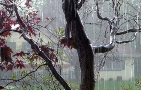 Avertizari de ploi in toata tara