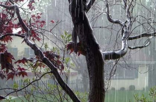 Avertizari de ploi in toata tara