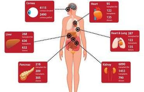 Donarea de organe dupa moarte, optiune in cardul de asigurat