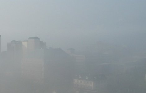 Cod GALBEN de ceata si polei in mai multe judete