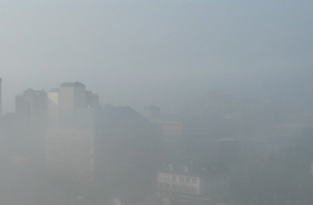 Cod GALBEN de ceata si polei in mai multe judete