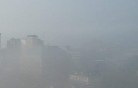 Cod GALBEN de ceata si polei in mai multe judete