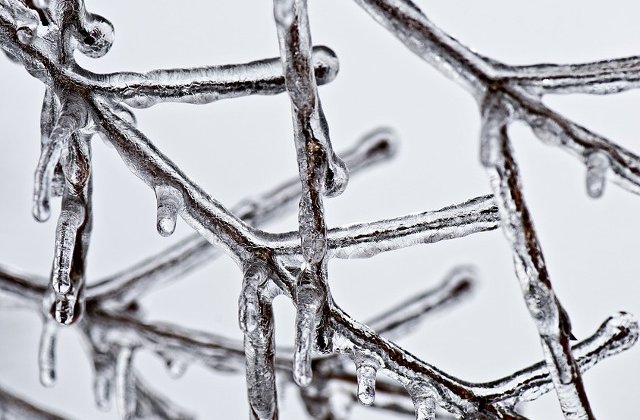 Cod GALBEN de precipitatii insemnate cantitativ si polei