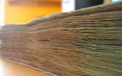 Vacaroiu: Bugetul Curtii de...