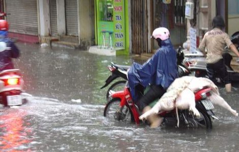 Vietnamul, devastat de inundatii