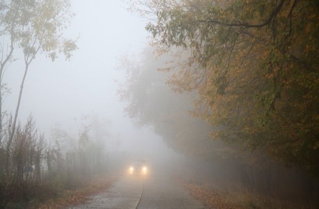 Cod GALBEN de ceata in mai multe judete