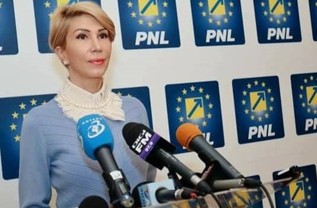 PNL nu renunta la motiunea de cenzura. Turcan cere punerea in acord a codurilor penale cu deciziile CCR
