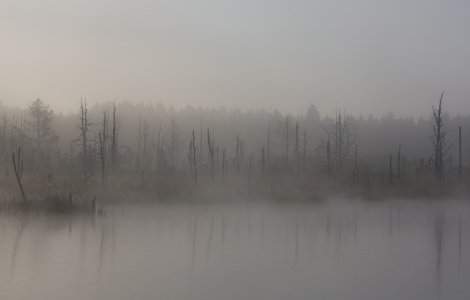 14 judete, sub cod GALBEN de ceata