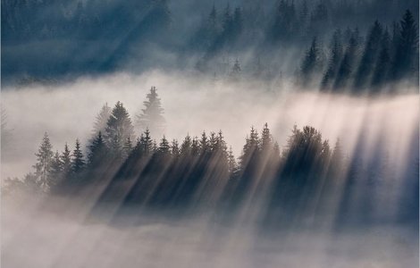 Cod galben de ceata in cinci judete