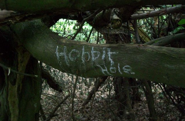 Filmul "The Hobbit" ar putea sa nu mai fie filmat in Noua Zeelanda